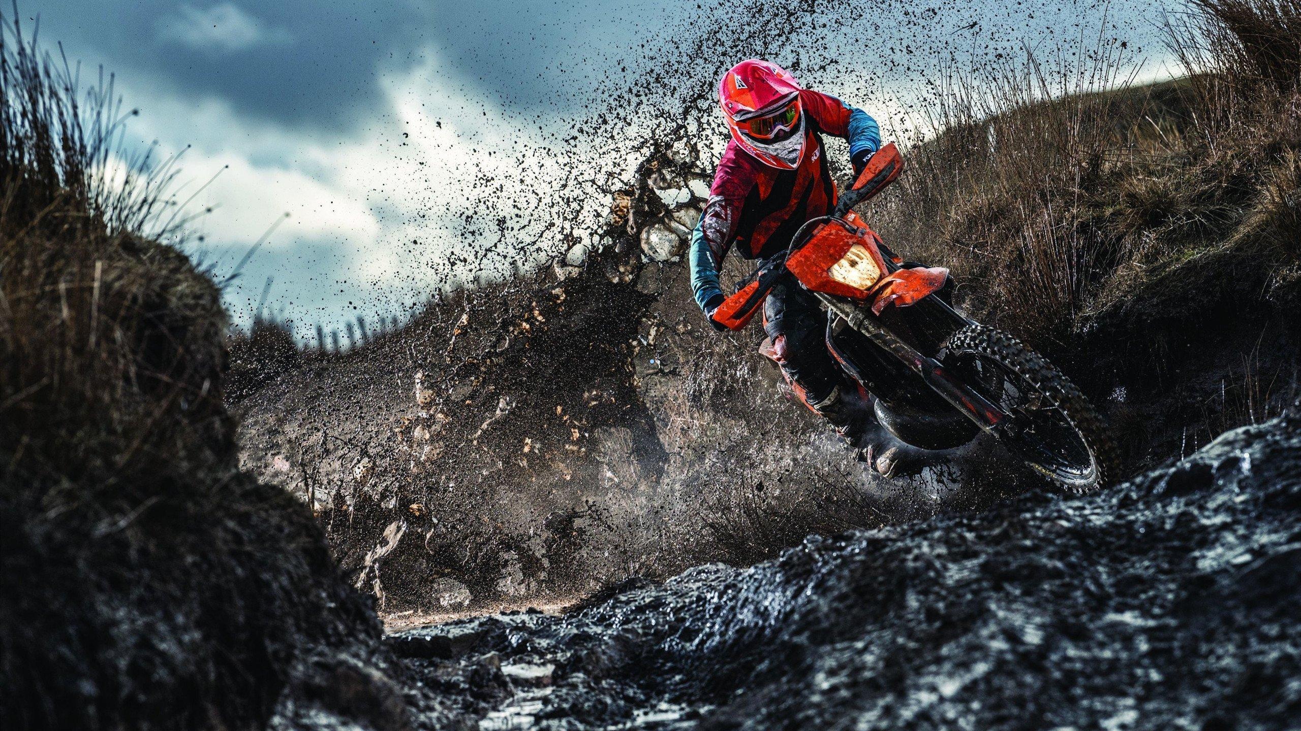 武大靖谈退役态度，仪式非必需，宁静告别赛场更显初心