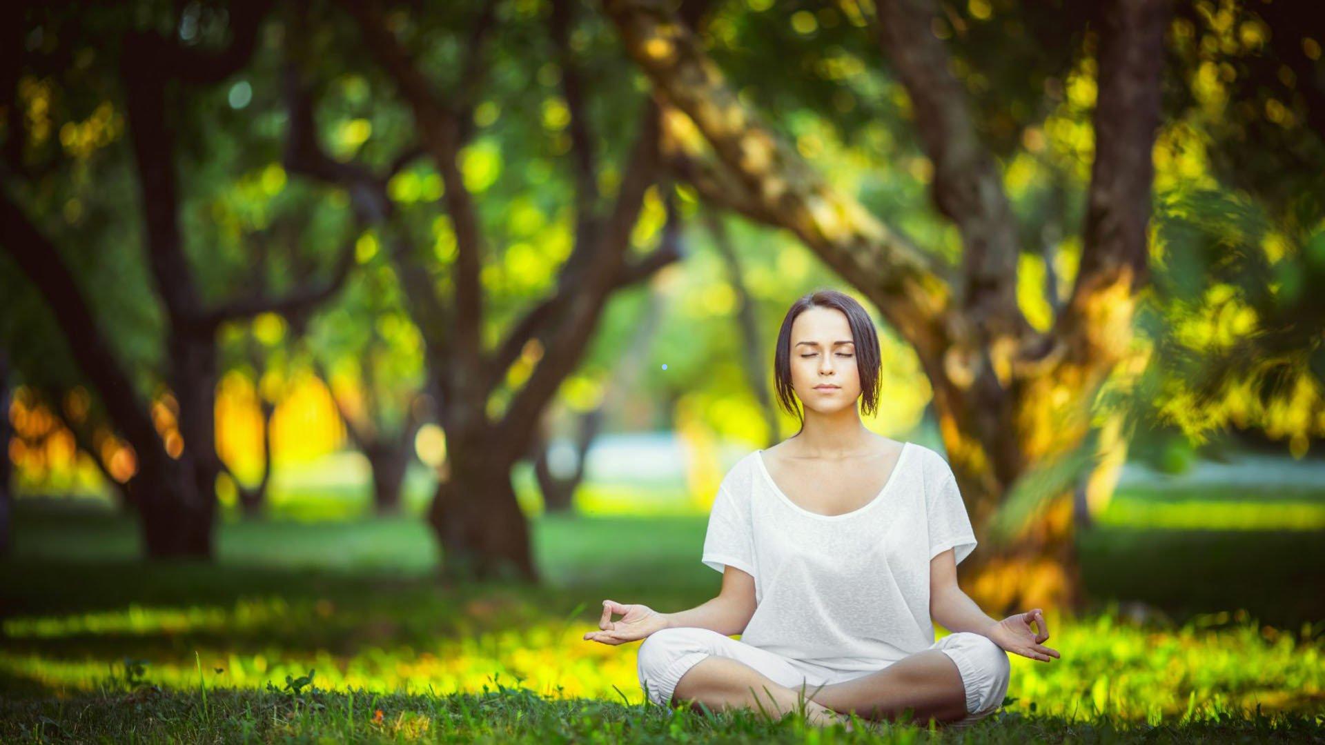 从苏格兰第四级联赛到安菲尔德传奇,罗伯逊十二载红军路勇夺七冠铸就非凡篇章